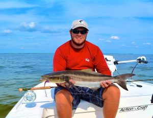 cobia